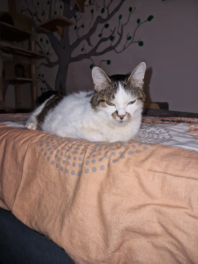 Andachtsbild von Andreas Lang-Pacht