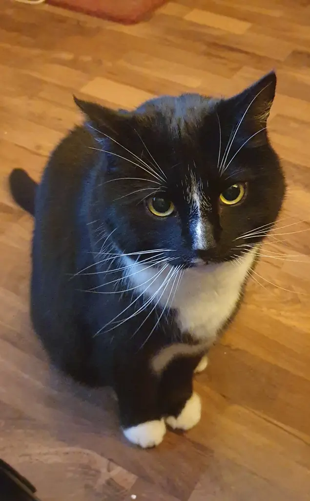 Andachtsbild von Heike Regenhardt