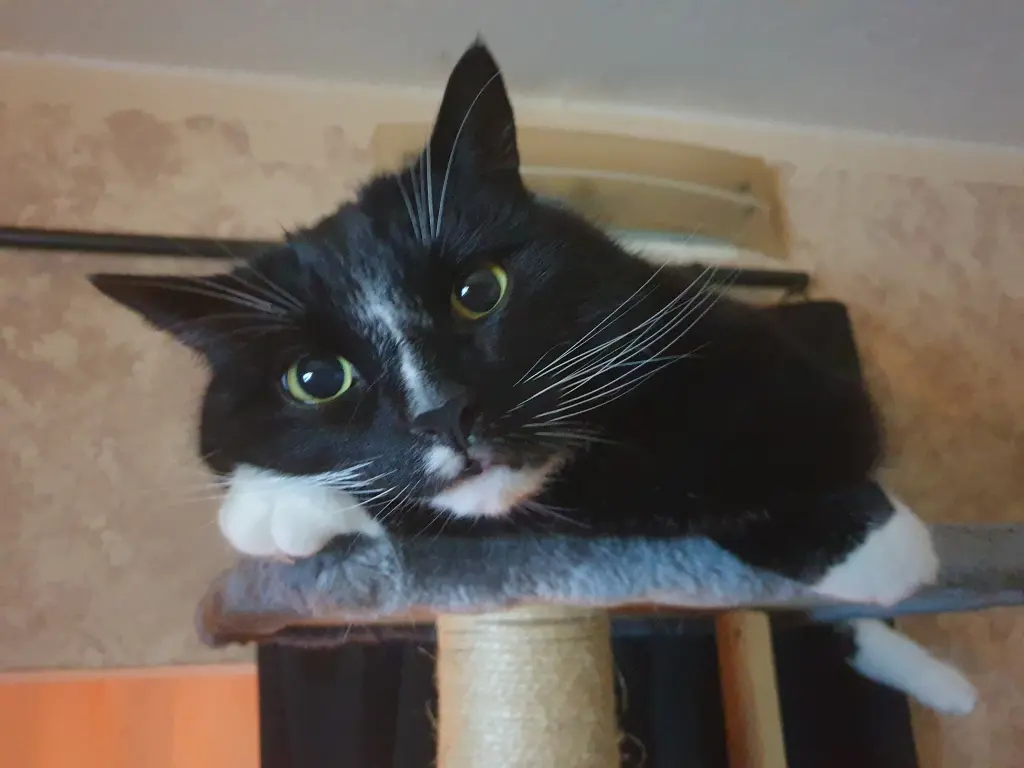 Andachtsbild von Heike Regenhardt