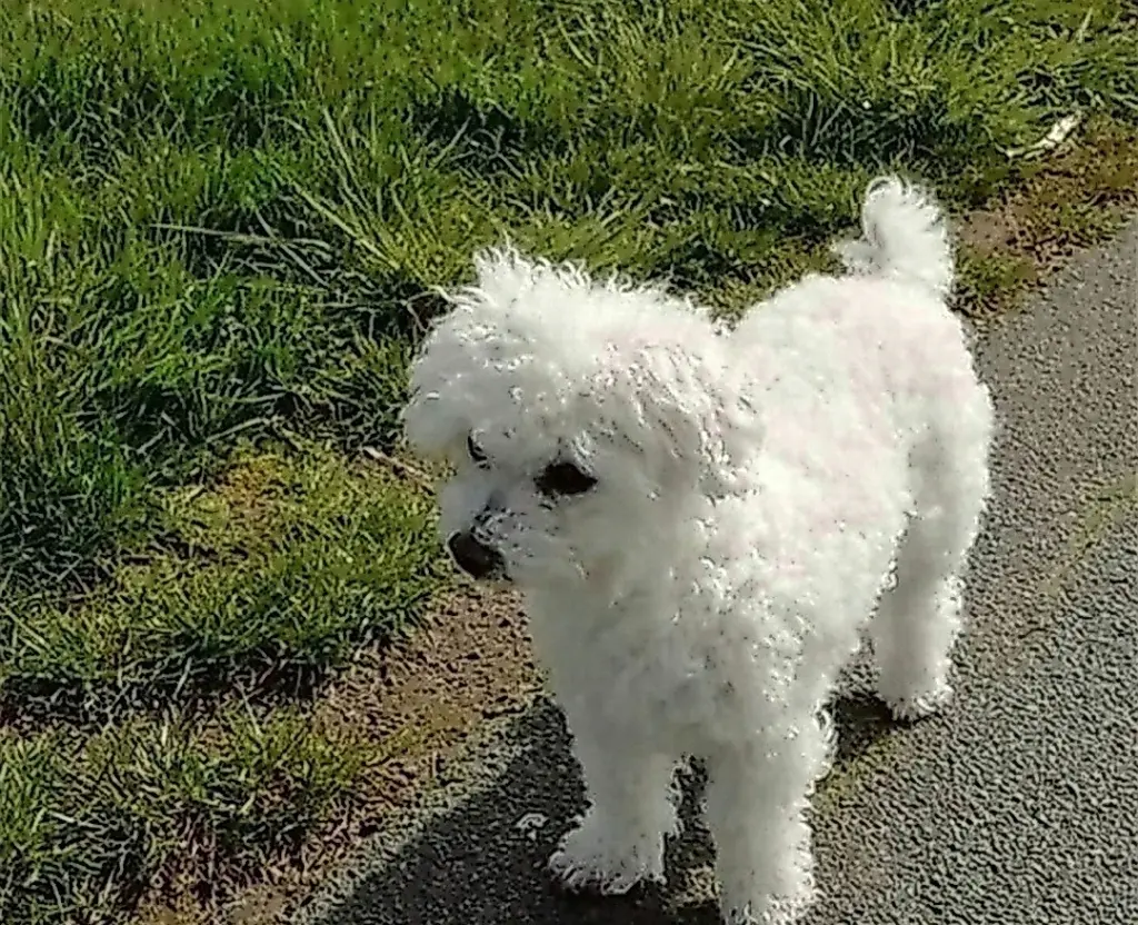 Andachtsbild von Gaby mit ♡☙Snowy☙♡