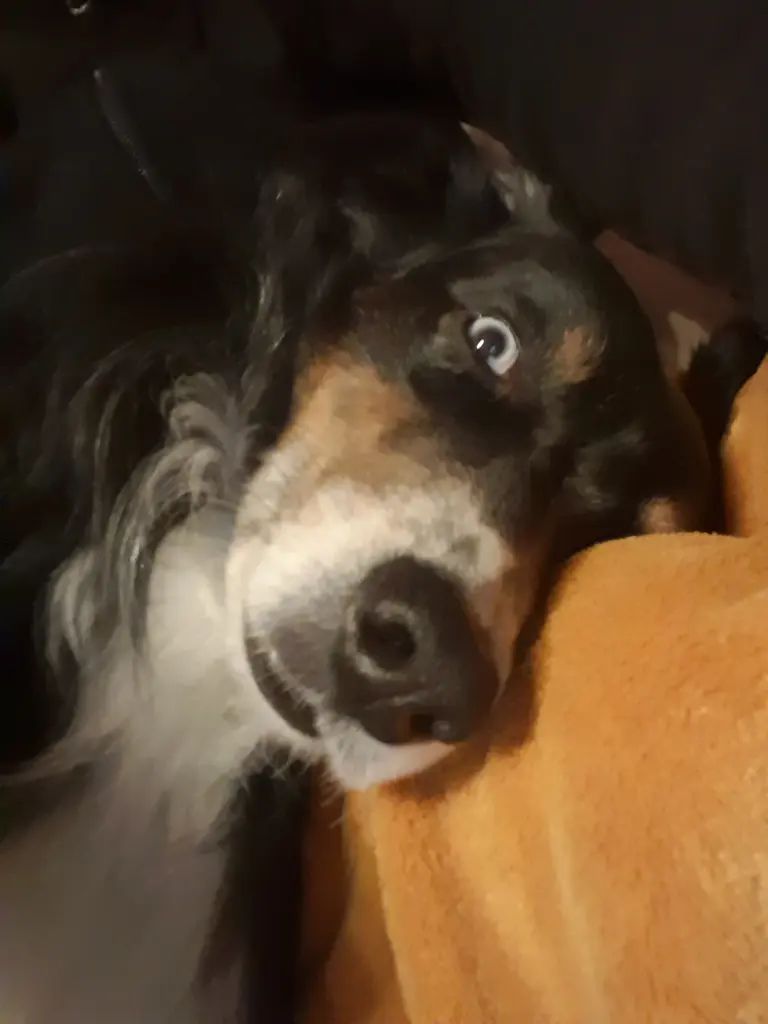 Andachtsbild von Vaddi