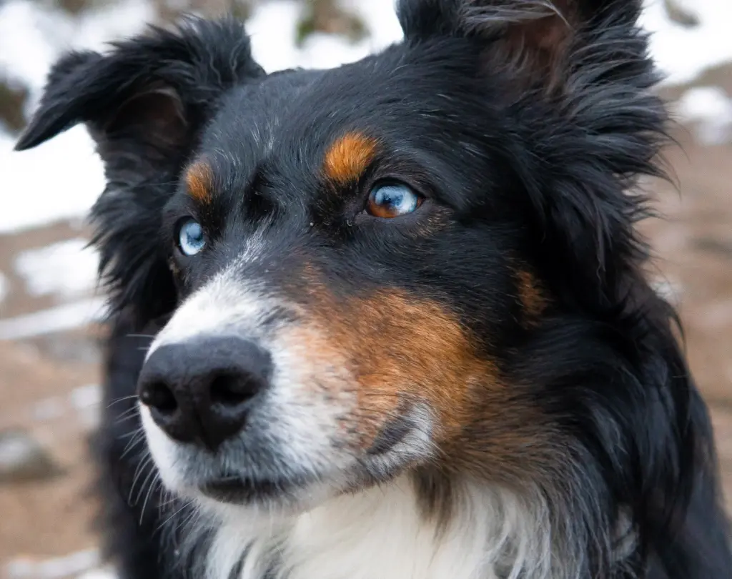 Andachtsbild von Marten