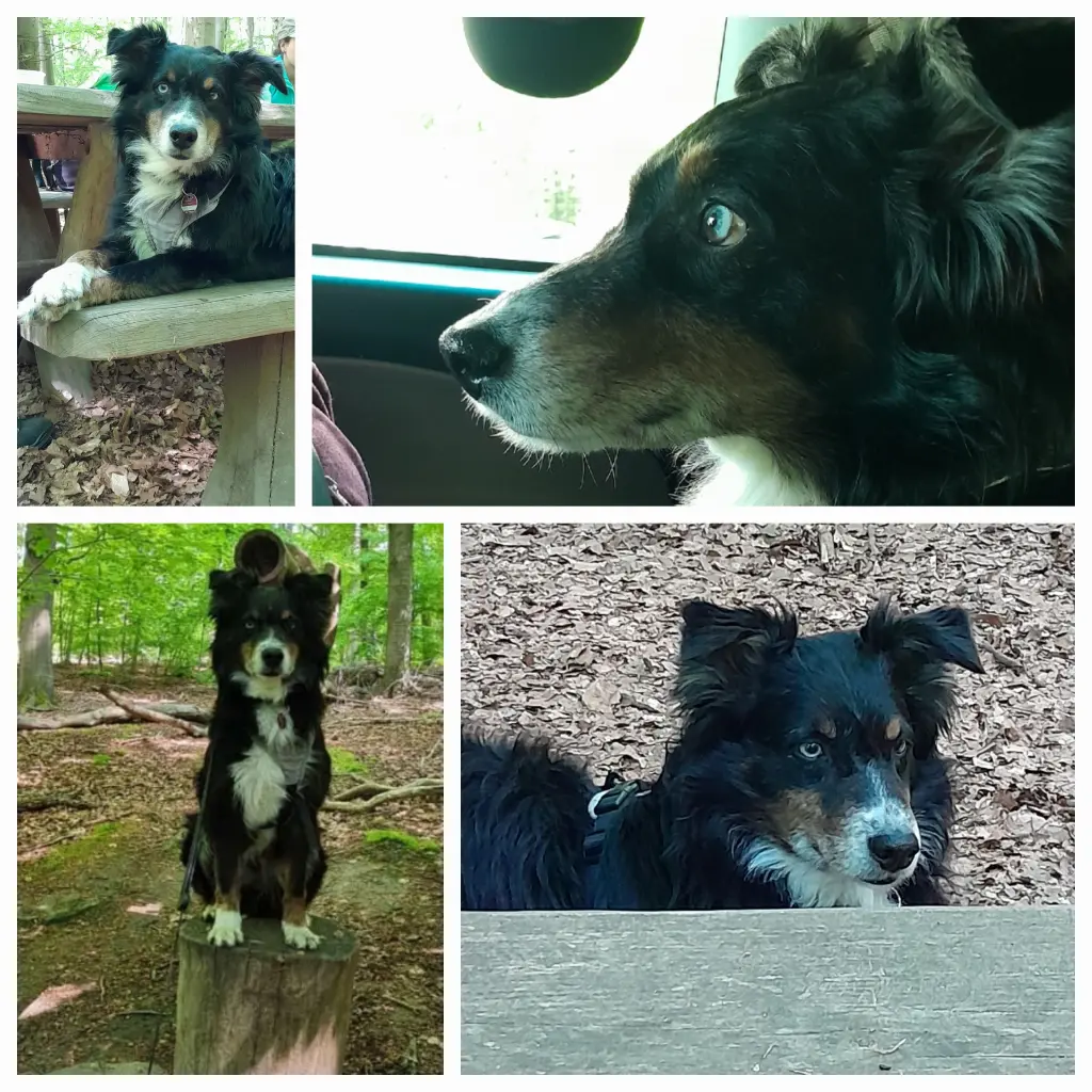 Andachtsbild von Muddi