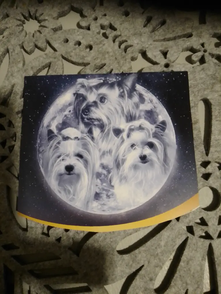 Andachtsbild von Konny mit Piccolino-Fly tief im ❤️