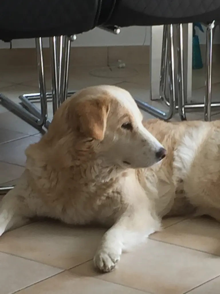 Andachtsbild von Gundula