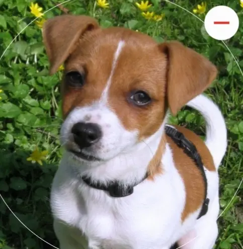 Er war so ein hübscher kleiner Schatz!