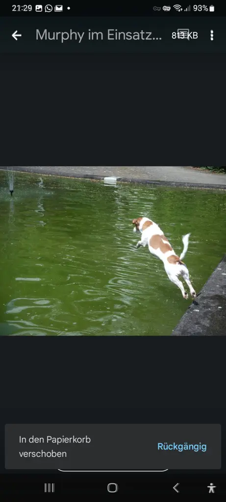 Murphy's liebstes Element, Wasser!!!