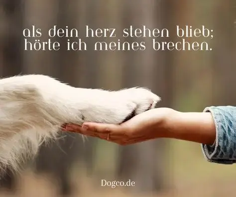 Andachtsbild von Konny mit Piccolino-Fly tief im ❤️