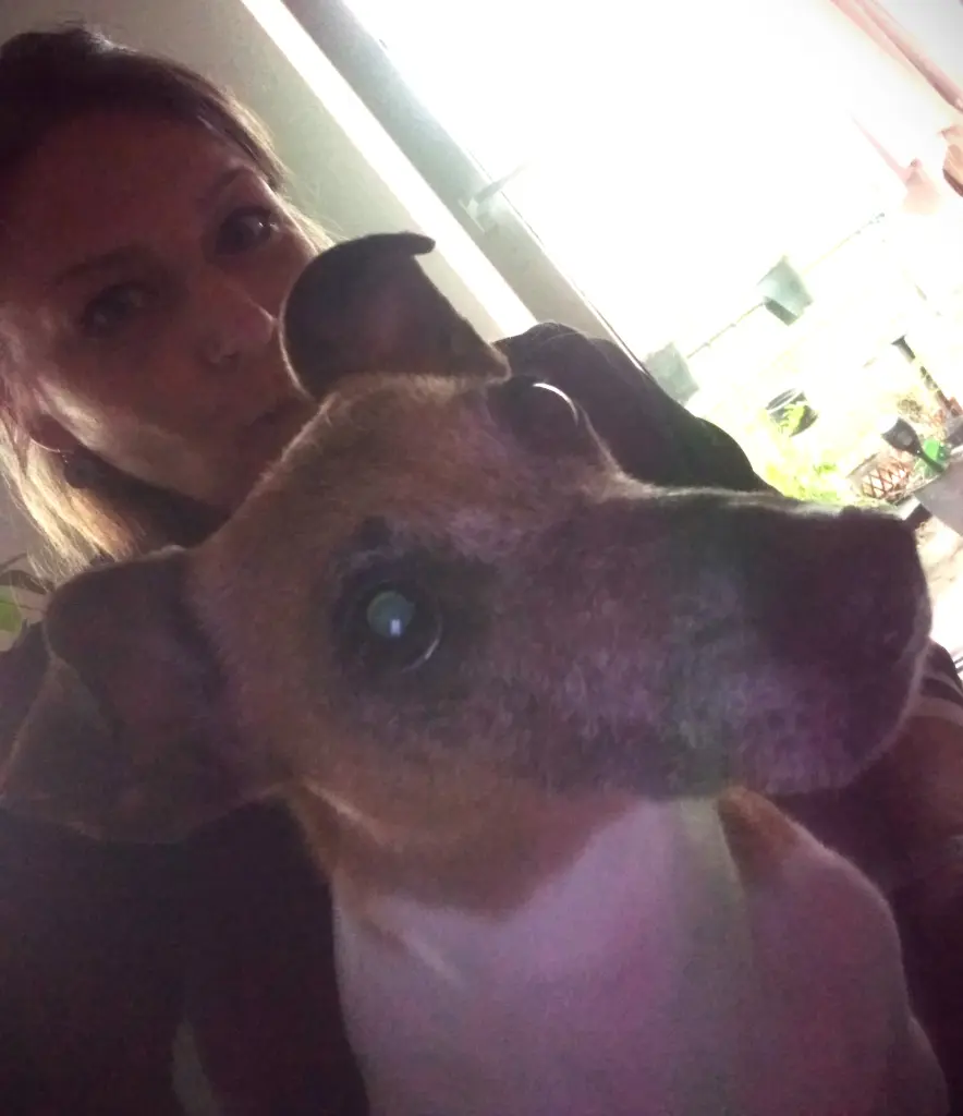 Andachtsbild von Karo