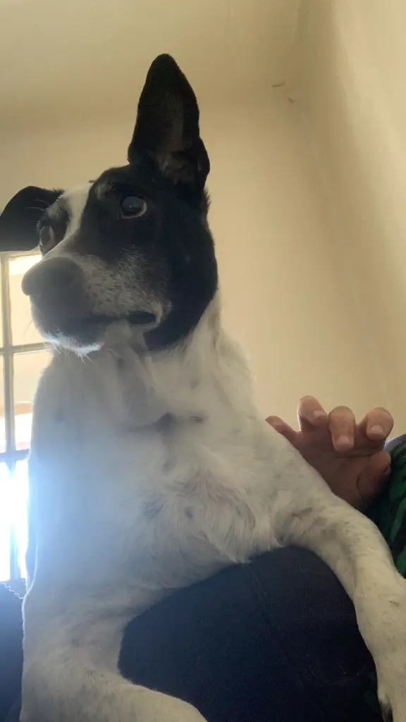 Andachtsbild von Jonna Marie