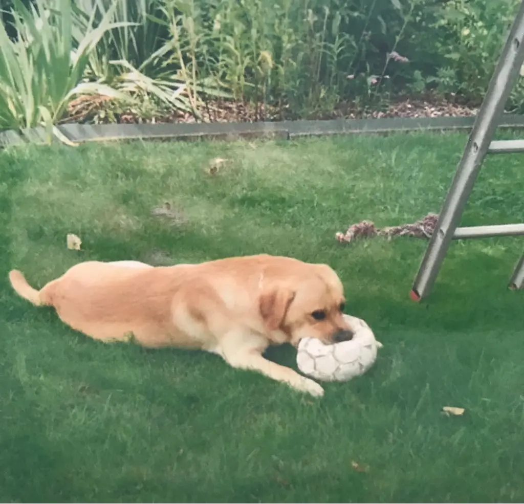 Andachtsbild von Aleksandra mit Max im Herzen