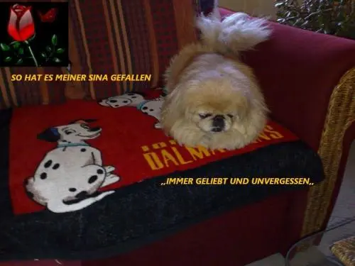 Image from mine kleine treue Partnerin, für ein ganzes Leben