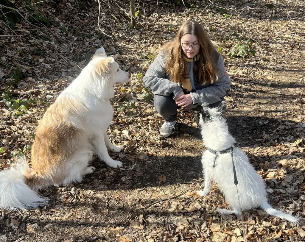 Andachtsbild von Paco, Flo & Anka