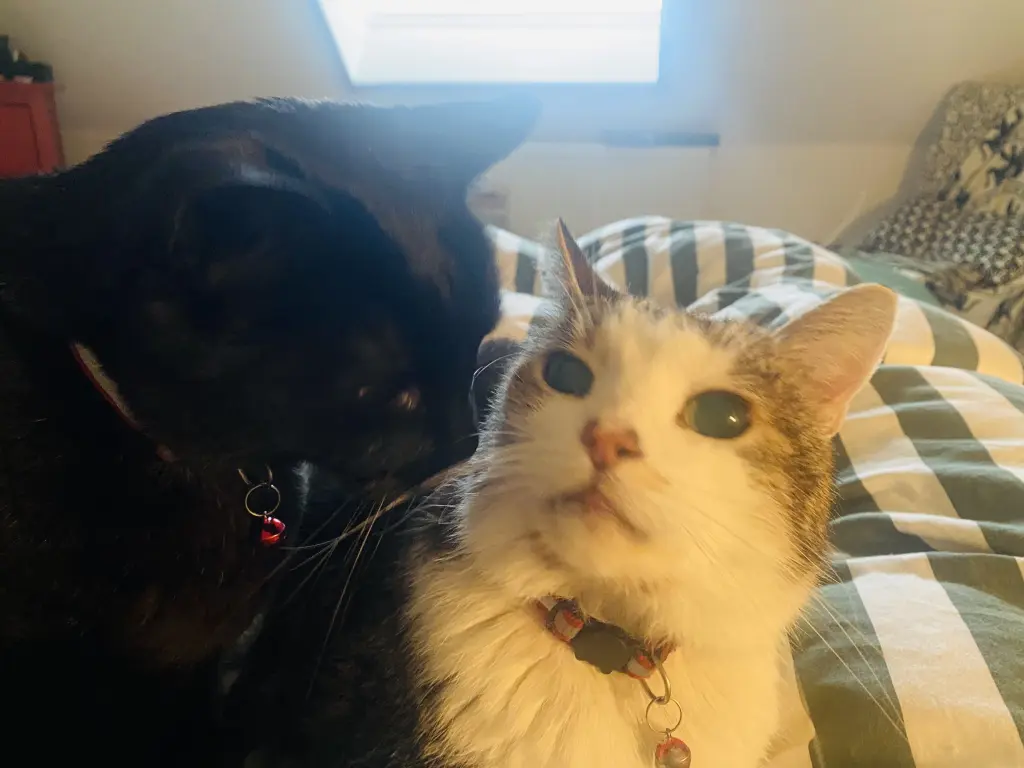 Tracy und Söckchen beste Freunde