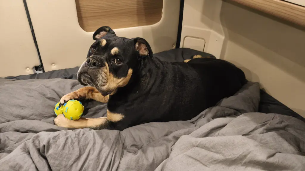 Andachtsbild von Achim