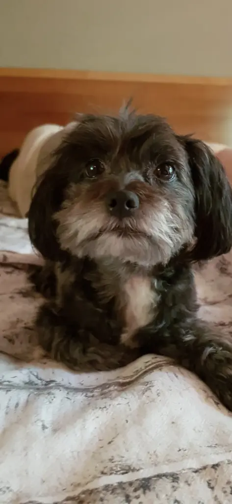 Andachtsbild von Gabriela und Chris Korner