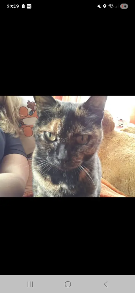 Andachtsbild von Jana Puzicha