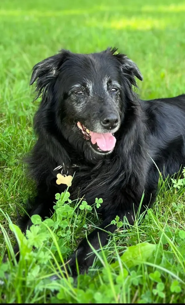 Andachtsbild von Nicole Brünner