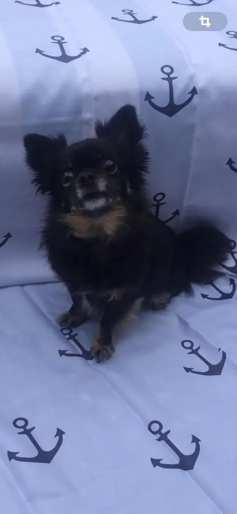 Andachtsbild von Britta Haller