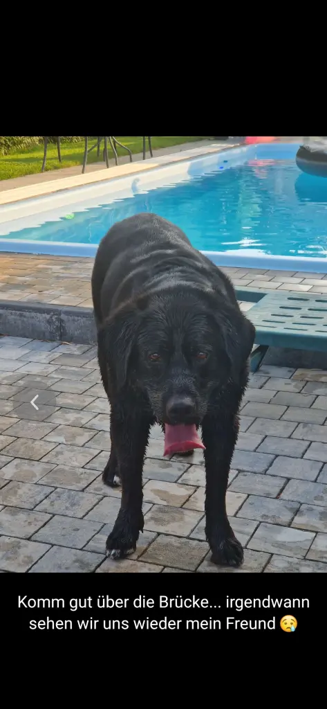 Andachtsbild von Torsten