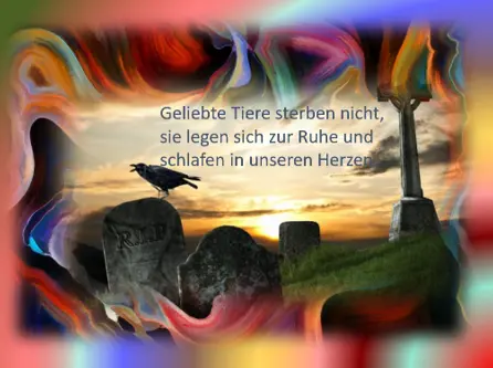 Andachtsbild von Konny mit Piccolino-Fly tief im ❤️