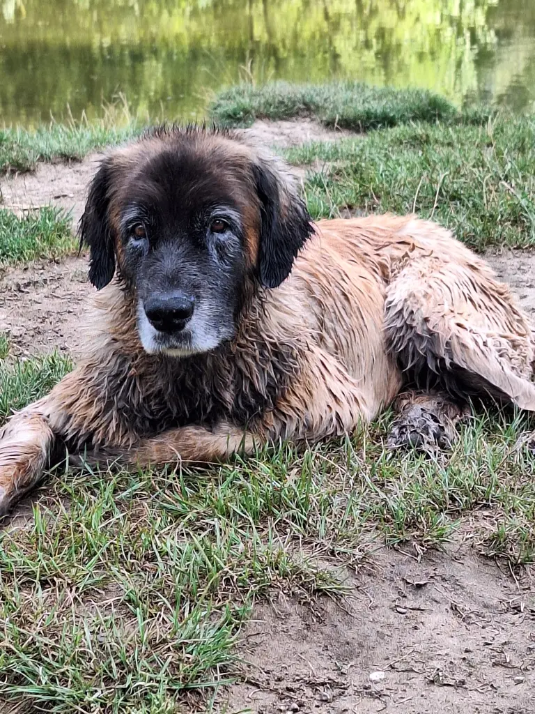 Andachtsbild von Marita Brand