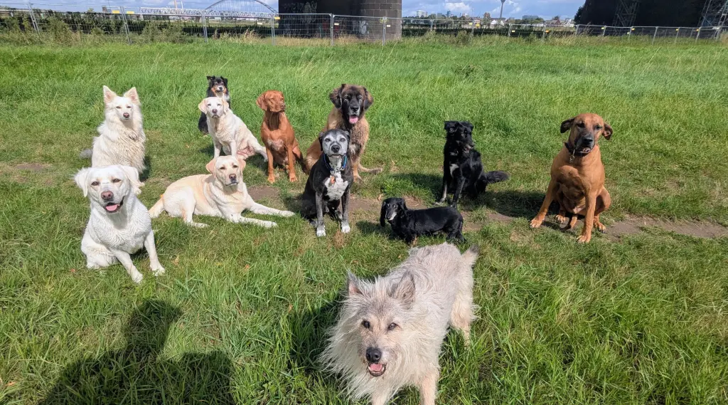 Andachtsbild von Winnie Wegner