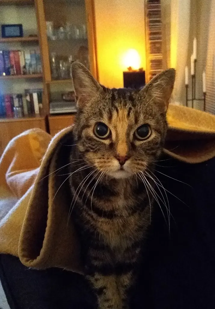 Mia