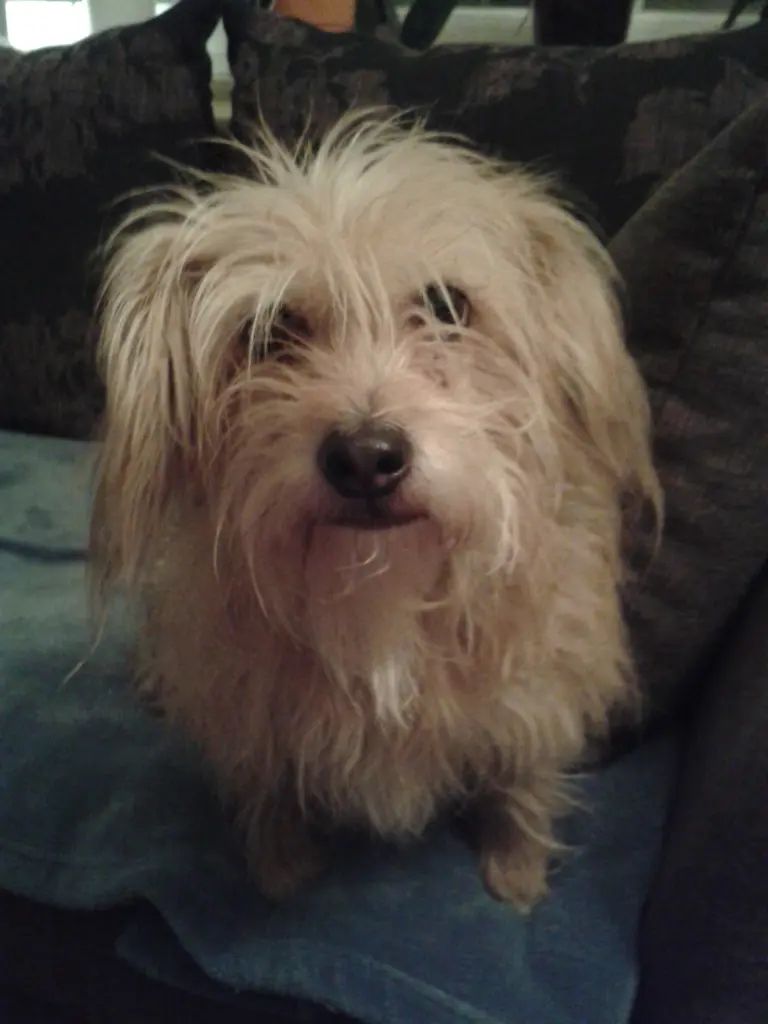 Bild von Frieda