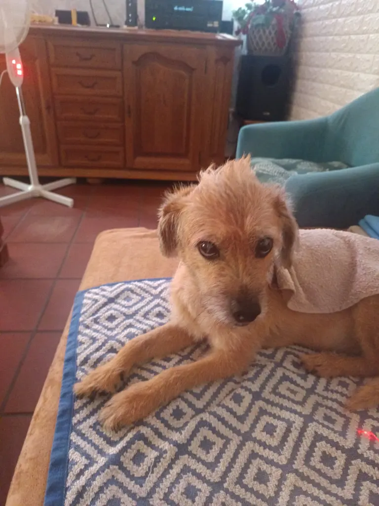 Andachtsbild von Erwin u Max Hauser