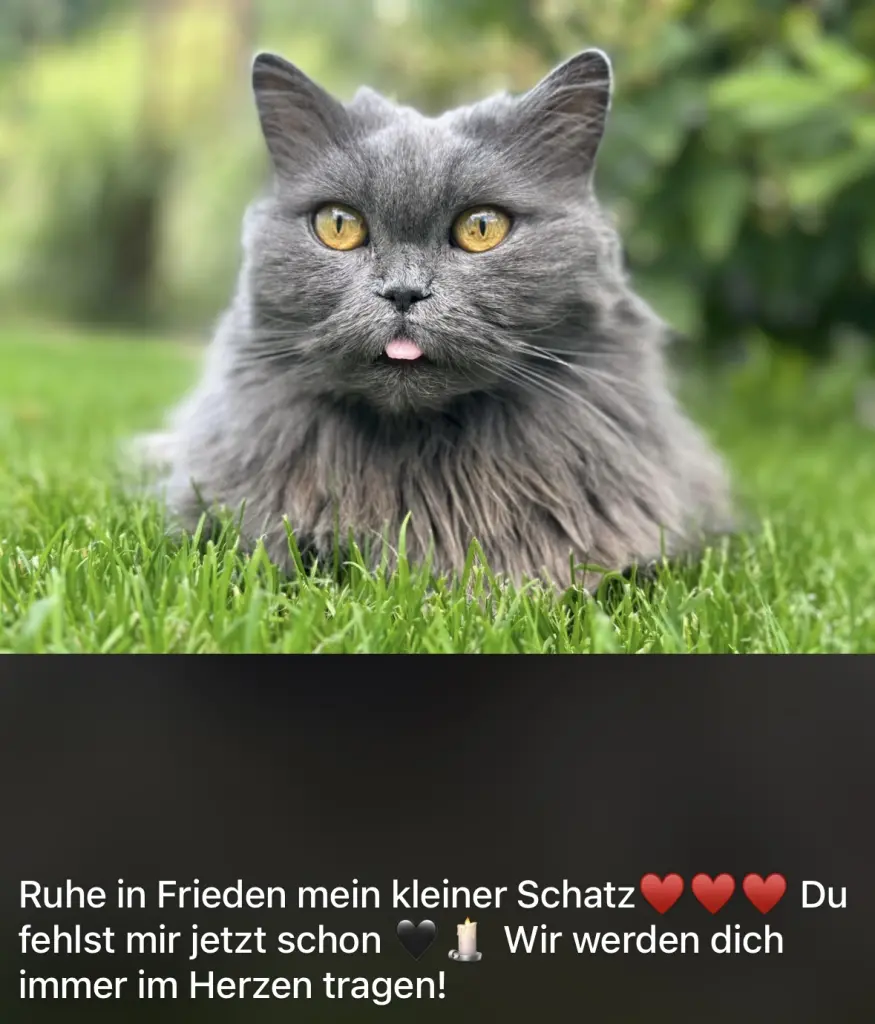 Noch gar nicht lange her und doch ist so weit entfernt.