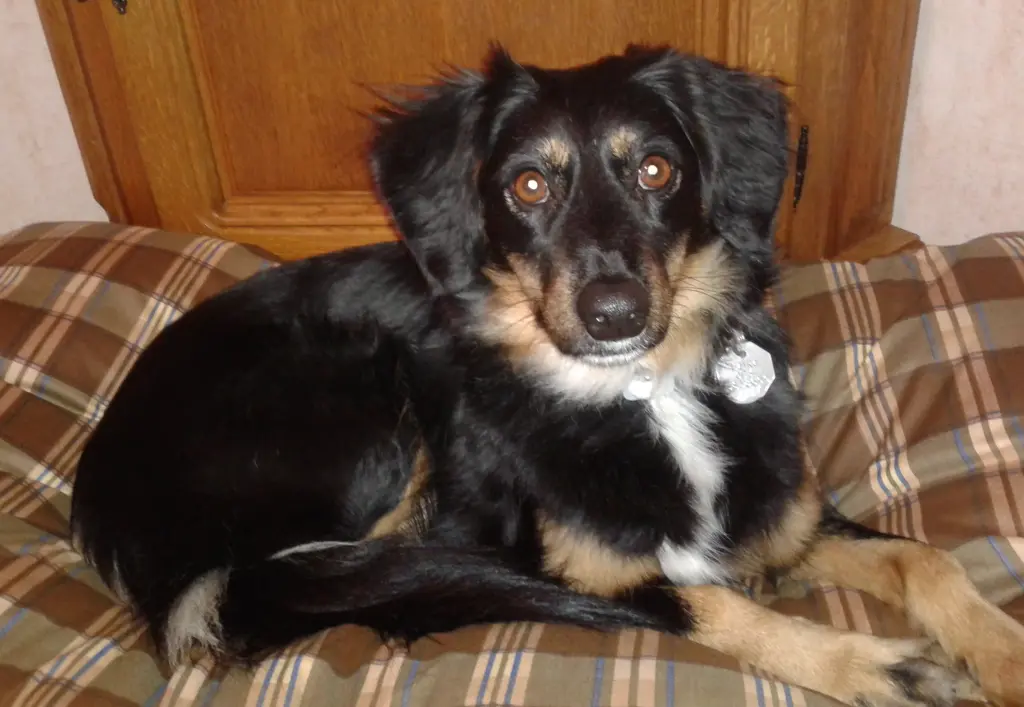 Andachtsbild von Willi Steinacker