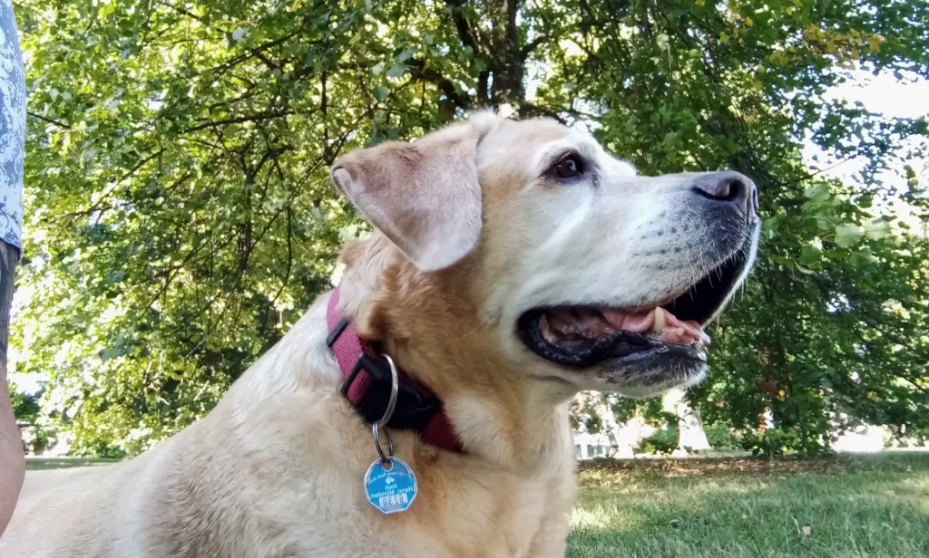 Andachtsbild von Ursula Baumann