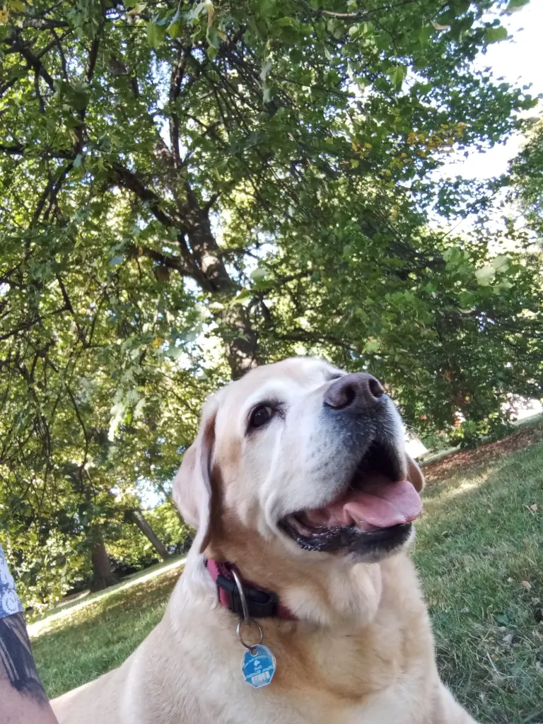 Andachtsbild von Ursula Baumann