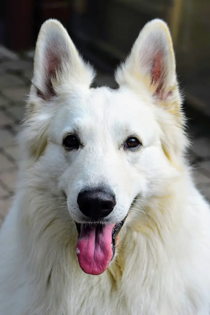 Andachtsbild von Kerstin Hübner