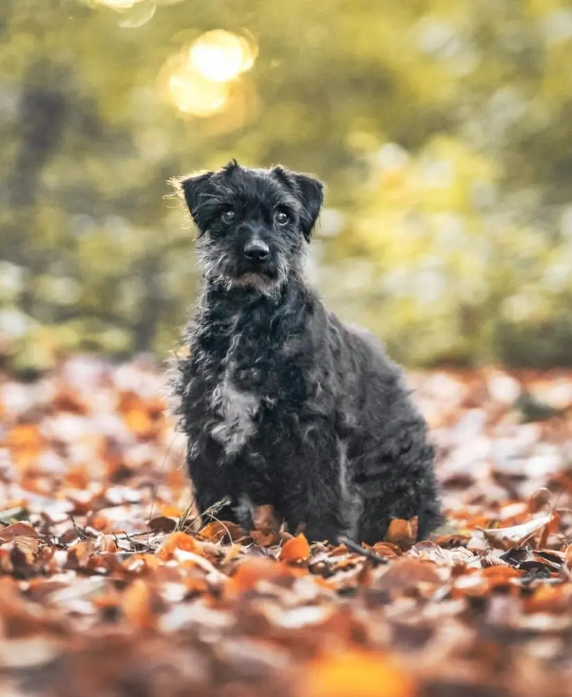Andachtsbild von Andrea Möhlendick