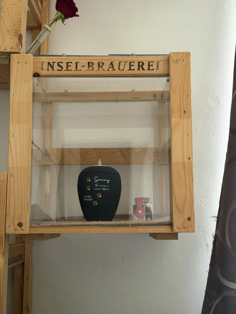 Dort bist du nun und gibt’s auf Jerry und mich acht.