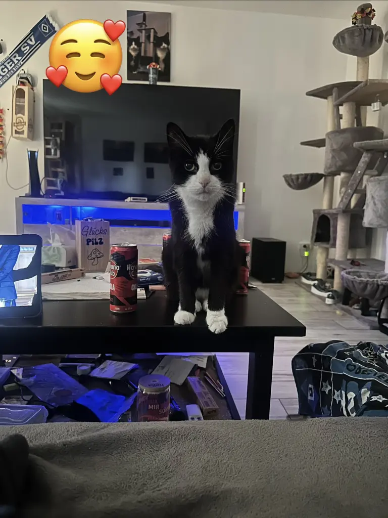 An Regeln halten war nie dein Ding 🥺😍