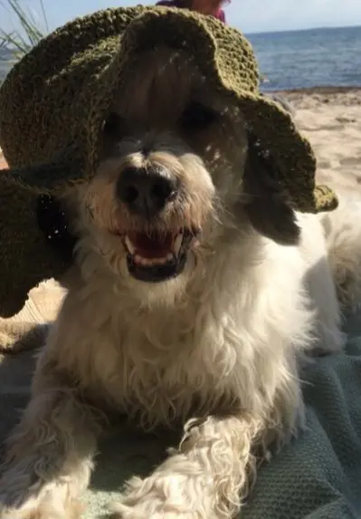 Andachtsbild von Sabine Wolf