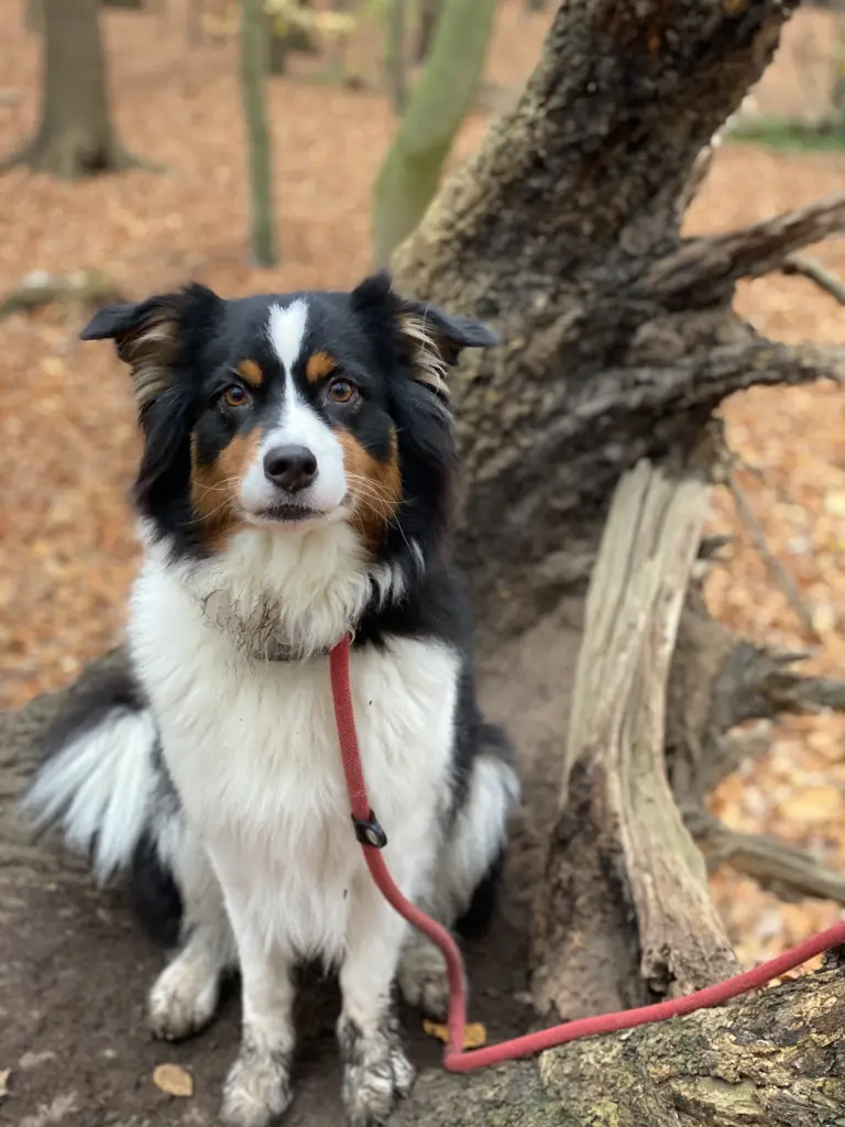 Andachtsbild von Jana Filtmann