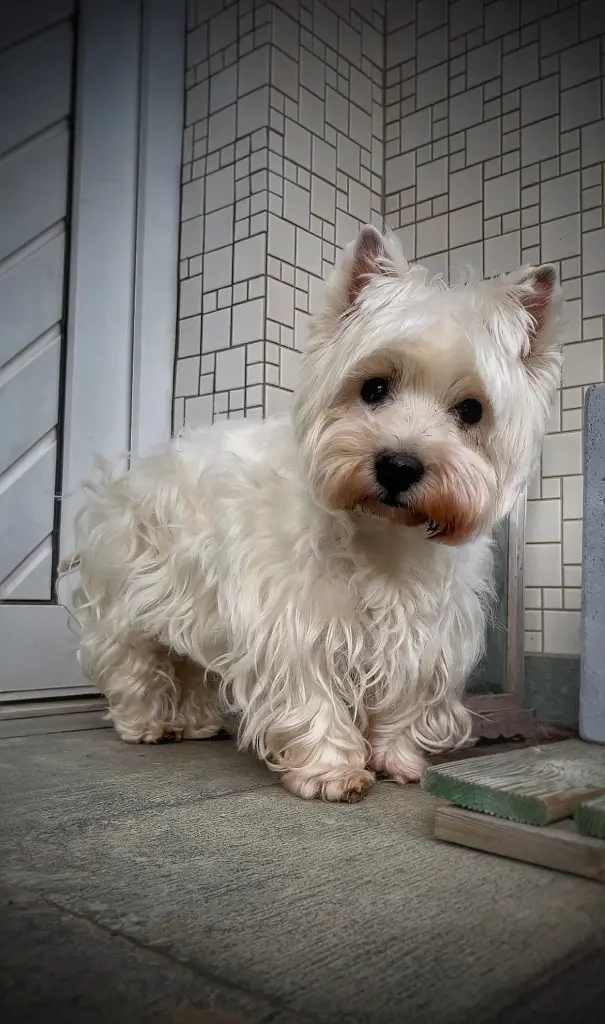 Andachtsbild von Michèle mit Luna im ♥️