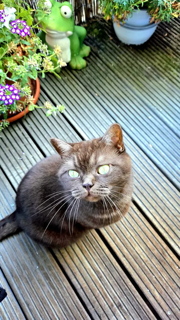 Andachtsbild von Manuela Nies