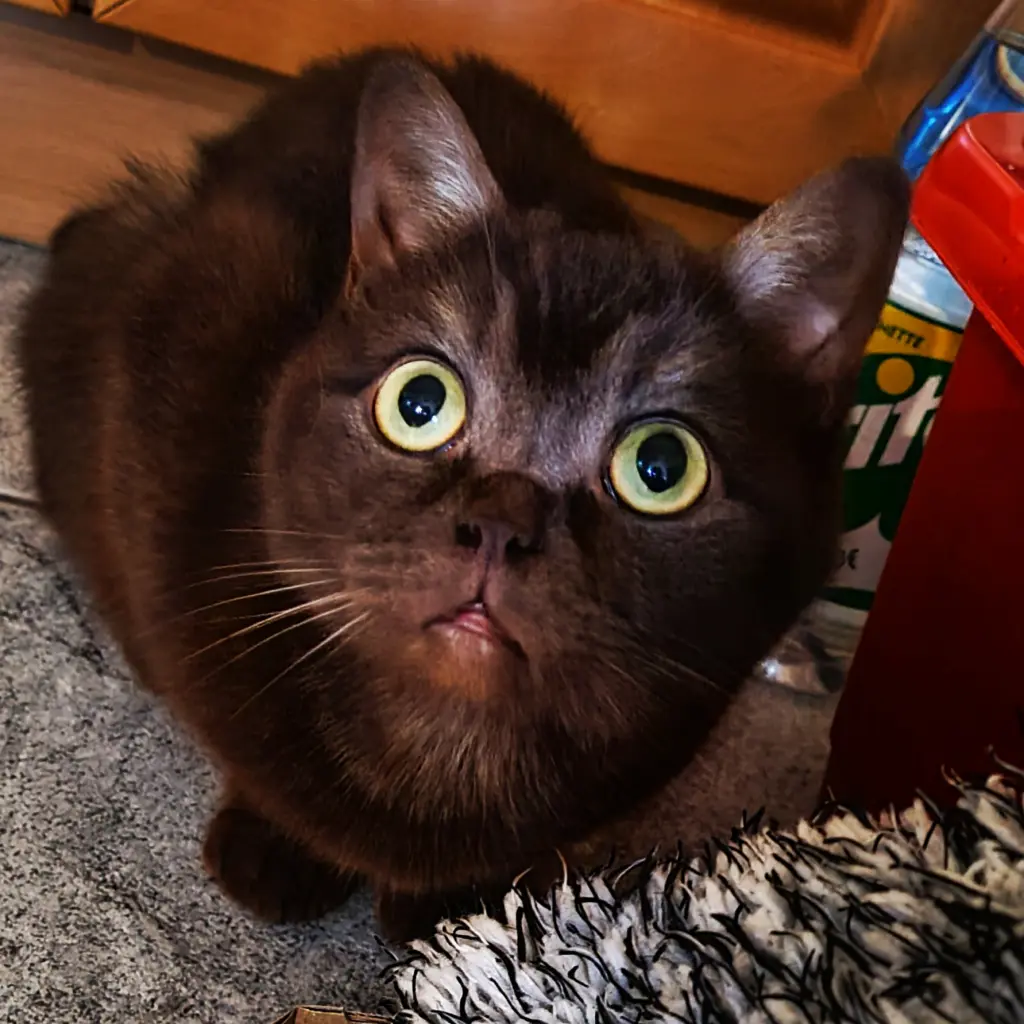 Andachtsbild von Manuela