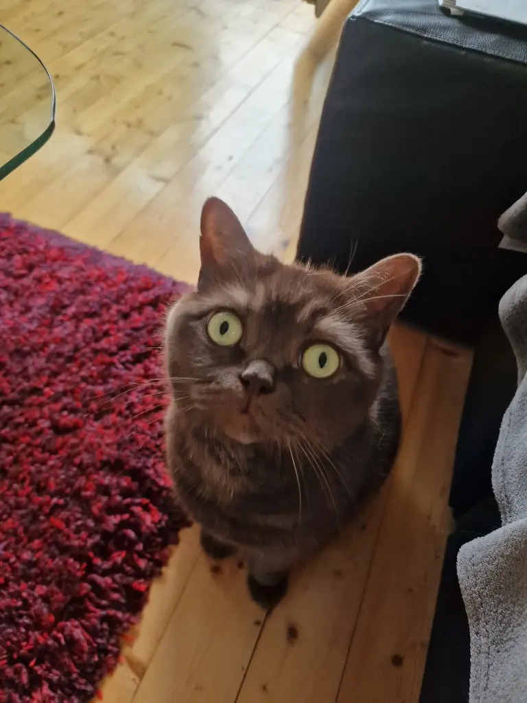 Andachtsbild von Manuela