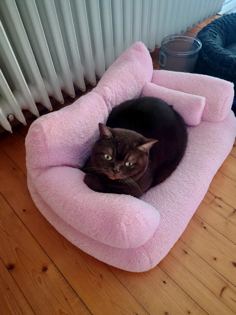 Andachtsbild von Manuela