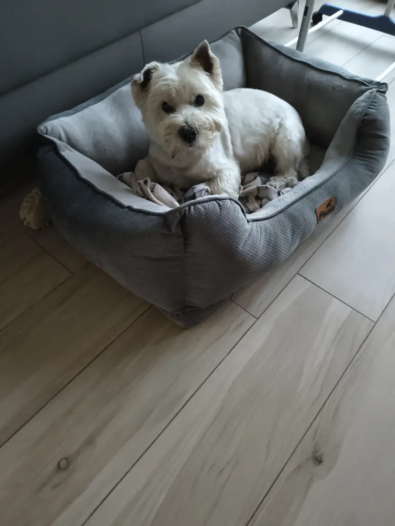 Andachtsbild von Monika Kasimir