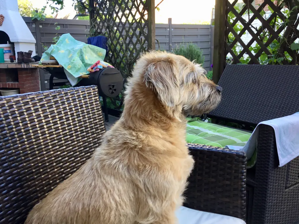 Andachtsbild von Erwin.und Max