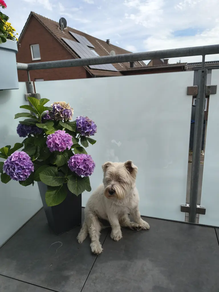 Andachtsbild von Monika Kasimir