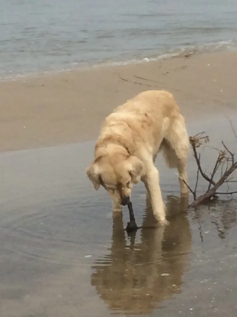 Andachtsbild von Andy und Piet ❤️❤️