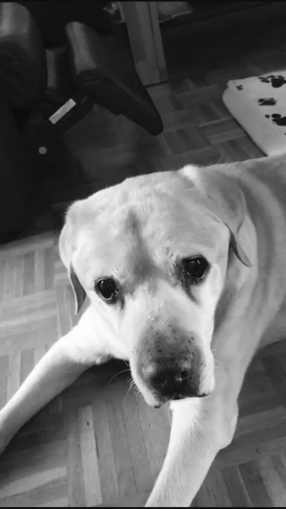 Condolence image of Aleksandra mit Max